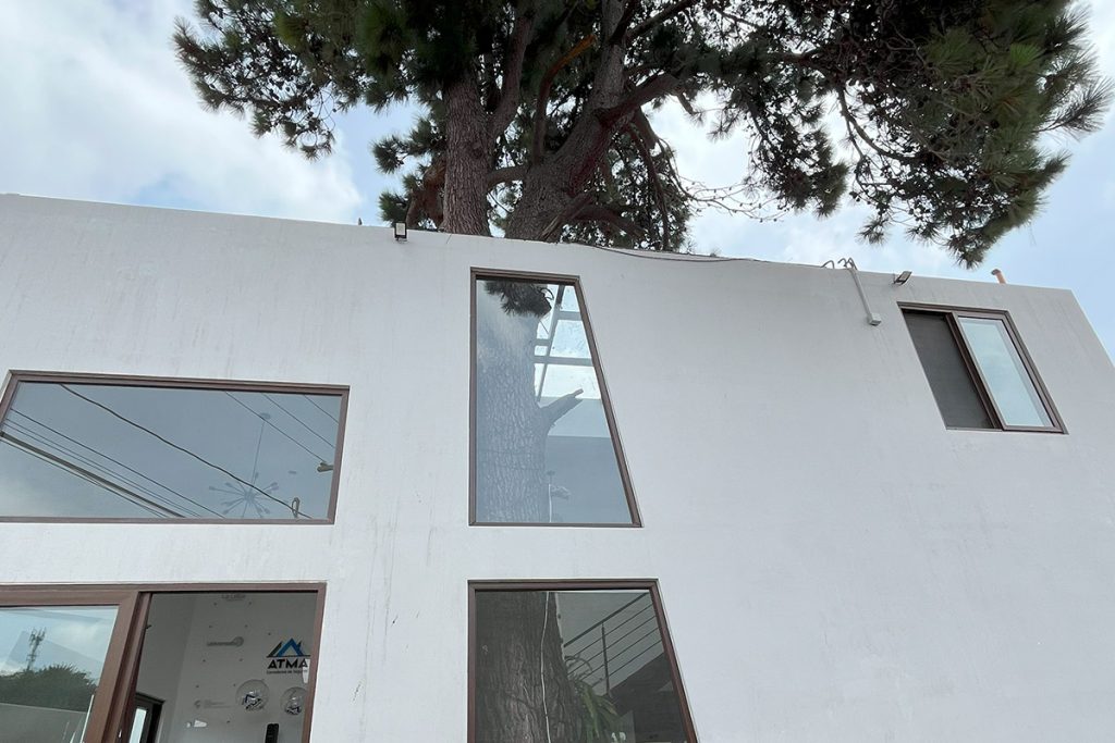 proyecto-casa-del-arbol-horizontal-03