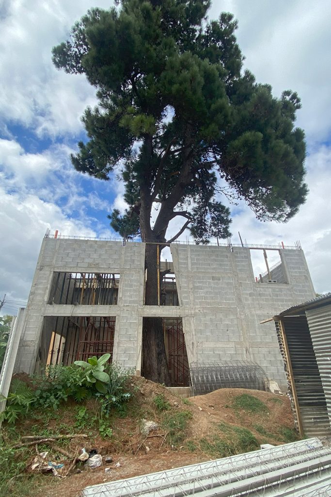 proyecto-casa-del-arbol-vertical-01